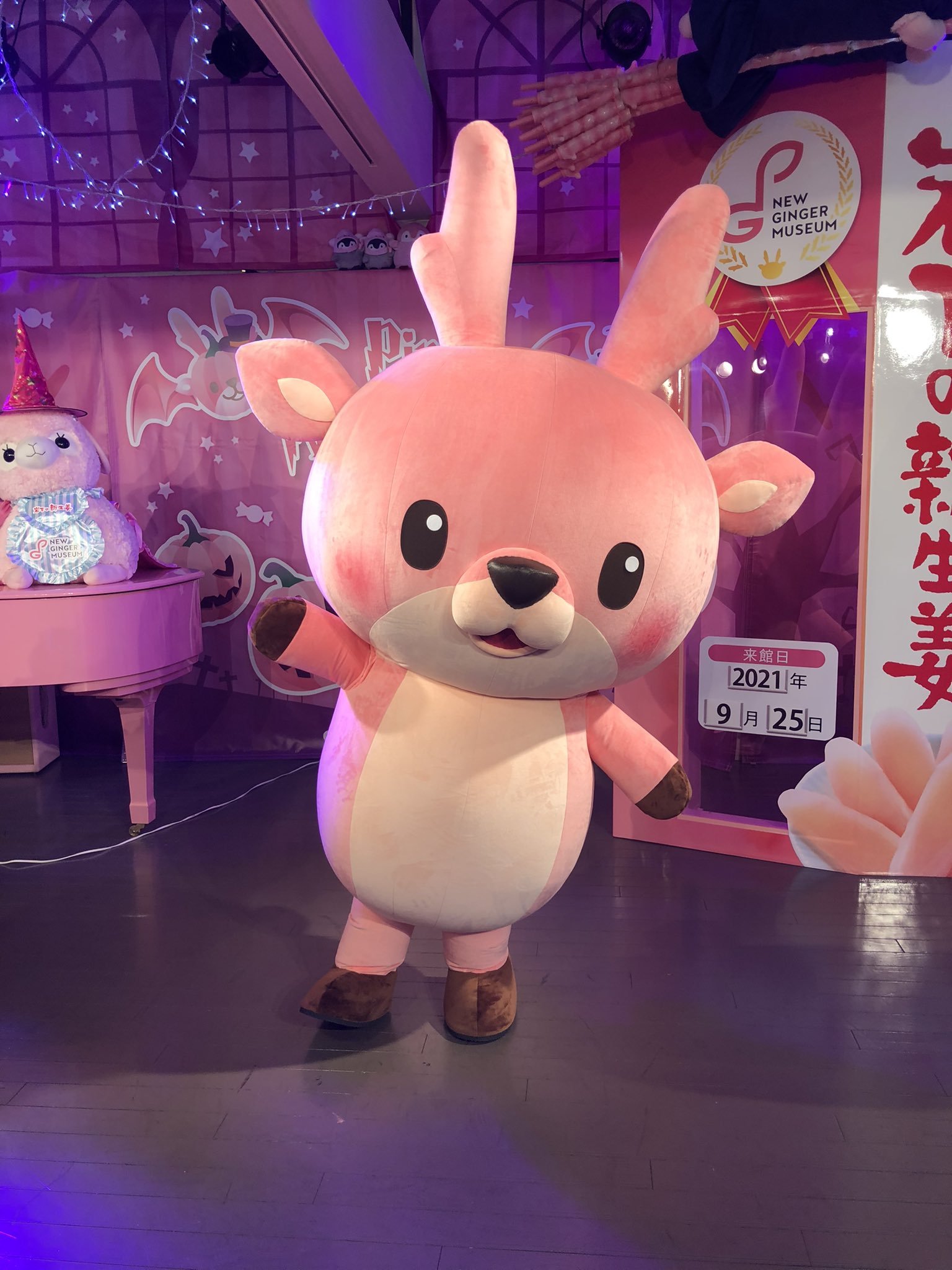 💖 이와시타 햇생강 박물관 (이와시타노 신쇼가 뮤지아무) 이미지 4